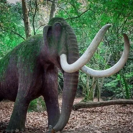 Lägenhet Hogar Del Nomada *