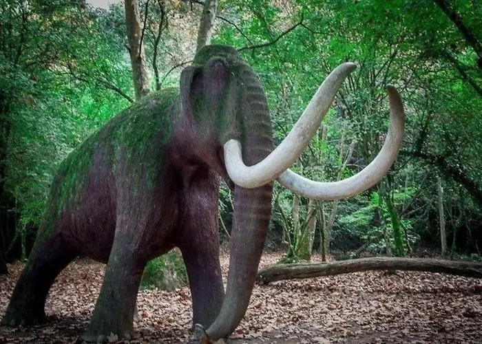 Daire Hogar Del Nomada *